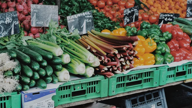 Essai d&rsquo;un Outil IA Ciblant le Gaspillage Alimentaire au Royaume-Uni, Des Millions de Repas Pourraient &Ecirc;tre Sauv&eacute;s